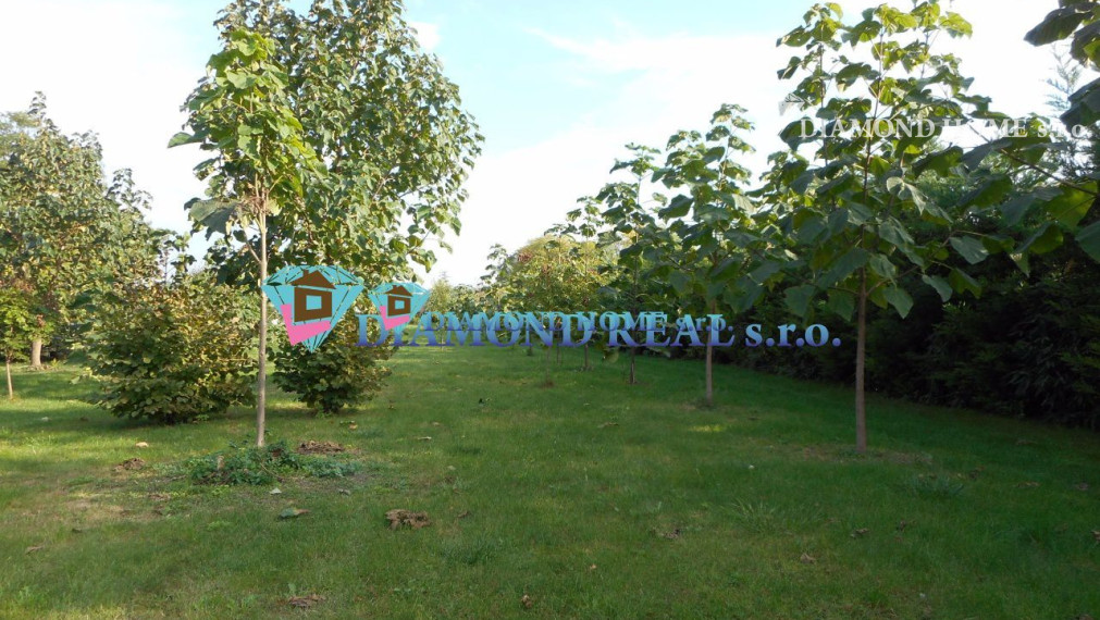 LEN U NÁS! Predáme lukratívny stavebný pozemok 1 km od Dunajskej Stredy v Mliečanoch