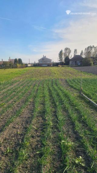 DIAMOND HOME s.r.o. Vám ponúka na predaj 5100 m2 pozemok na výstavbu RD v obci Horné Mýto